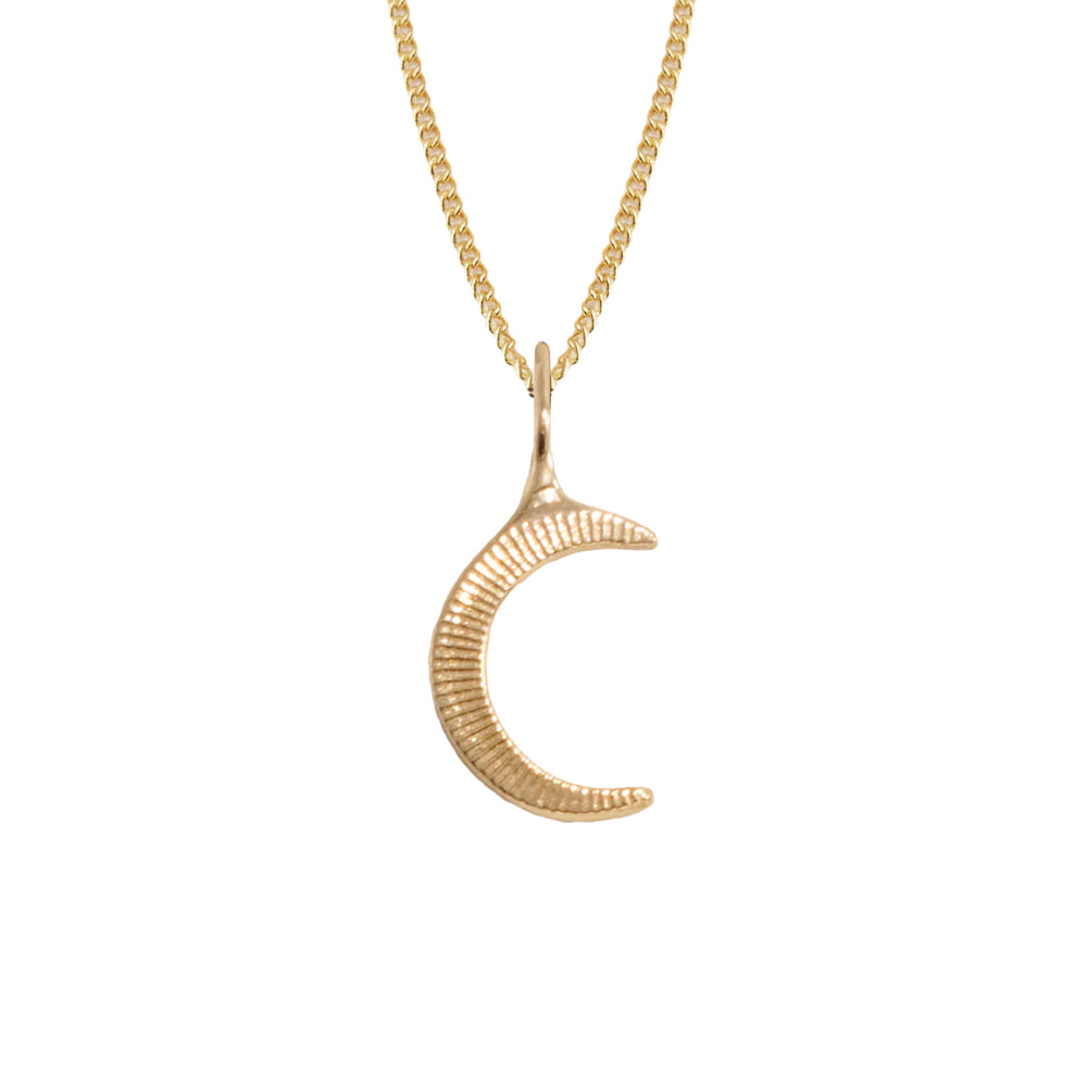 
                      
                        Crescent Moon Necklace
                      
                    