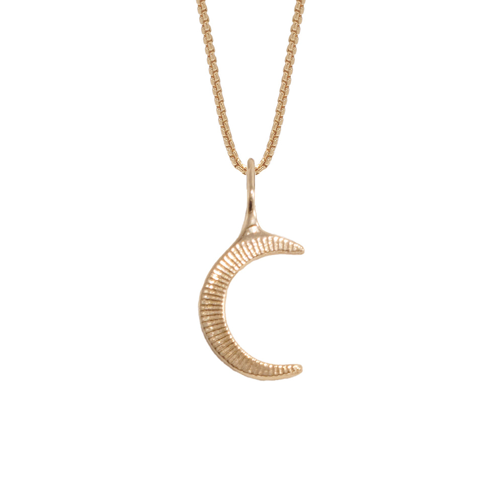 Crescent Moon Necklace