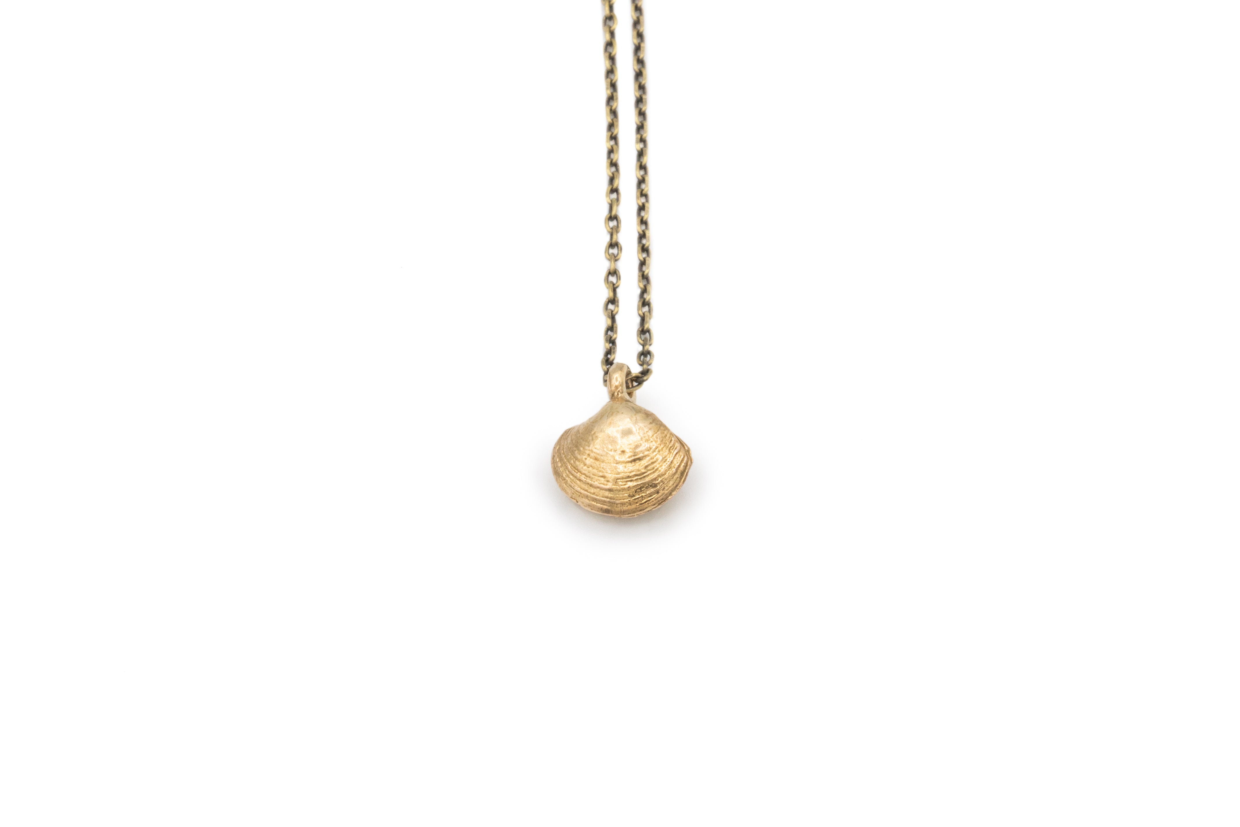 Simple Vintage Inspired Clamshell Necklace in solid Brass. Jewelry on an oxidized Brass chain for marine research. Handmade vintage jewelry made in Brooklyn NYC